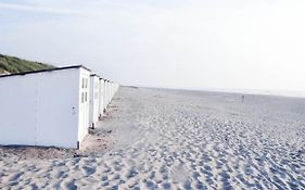 Carpe Diem Noguchi 201- Adults Only